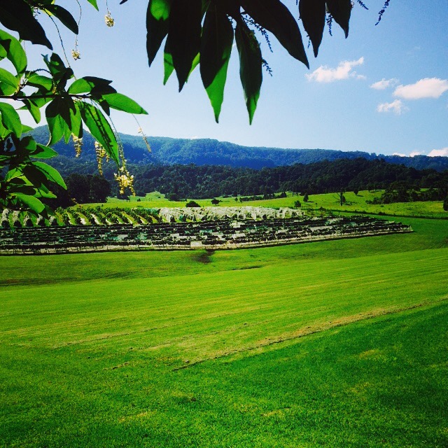 Silos Estate Vineyard, Jervis Bay, Australia